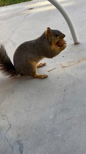 Everybody eats | Lewis Cali's Finest Harris