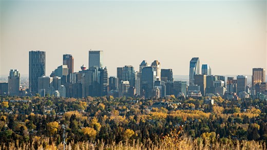 How does Calgary stack up when it comes to tree cover?