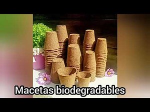 las hojas también se reciclan¡!