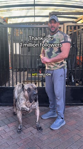 Thank you 1 million followers | loyal dogs eat
