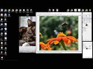 GIMP'S VERSION OF CONTENT AWARE FILL (RE-SYNTHESIZER)