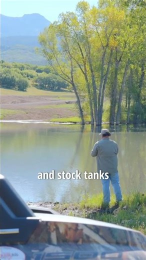 Rough Diamond Ranch: Property for Sale with Completely Renovated Home in Colorado