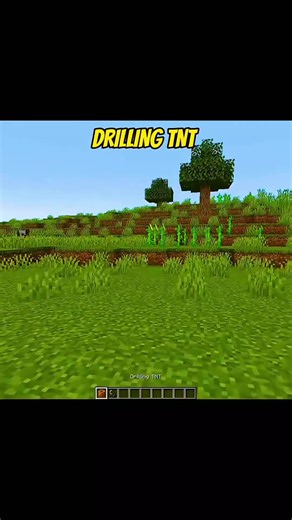 Exploring the Minecraft Game: Tips and Tricks