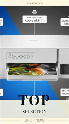 Brother DCP-T436W (New Launch) Multifunction Print Scan Copy Ink Tank Color Printer Best for Home...