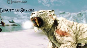 Beauty of Skyrim ENB