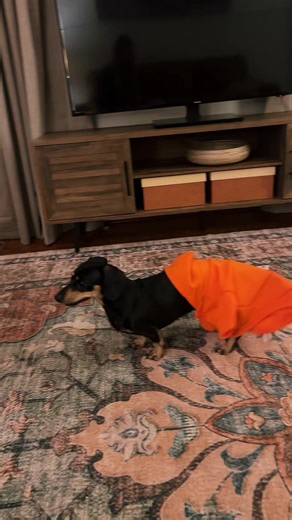 talkingwithtoby (@talkingwithtoby)’s videos with Ed bassmaster - Plantdaddy55