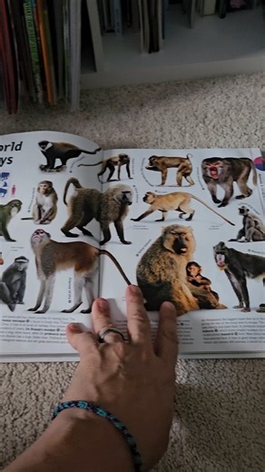 Watch Honest Review of the Smithsonian animal book on Amazon Live