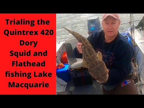 New Boat, Quintrex 420 Dory. Flathead & Squid Lake Macquarie