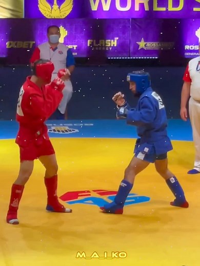 Combat Sambo: Knockout and Techniques