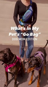 26K views · 382 reactions | What’s in your pet’s “go pack”?  | Pet Food Express | Facebook