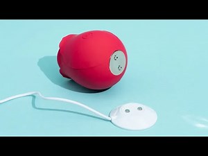 The Rose Toy Loved Worldwide – Discreet Luxury for Every Bedroom 🌹