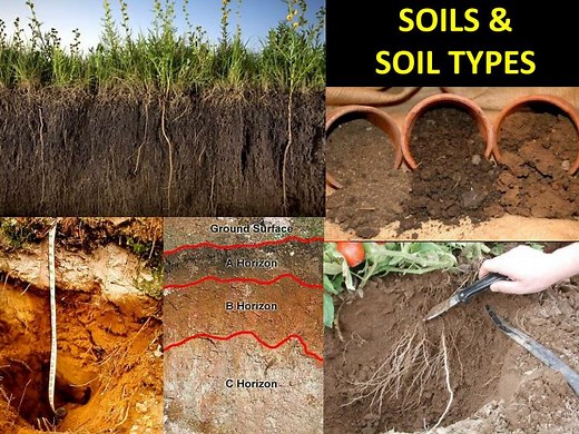 SOILS &amp; SOIL TYPES - SlideServe