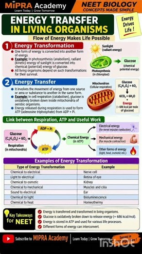 Energy Transfer in Living Organisms ⚡Energy Transformation, ATP & Respiration | NEET Biology #neet