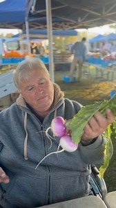 8.7K views · 27 reactions | PURPLE-TOP TURNIPS – FRESH FROM THE FARM...