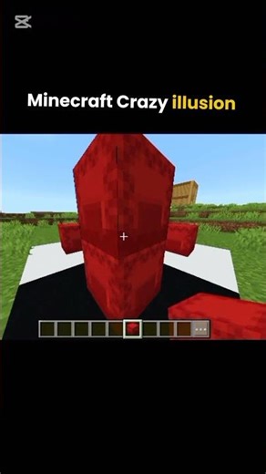 Minecraft Crazy illusion #minecraft #shorts
