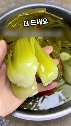 청경채로 만든 최고의 밥 반찬 레시피