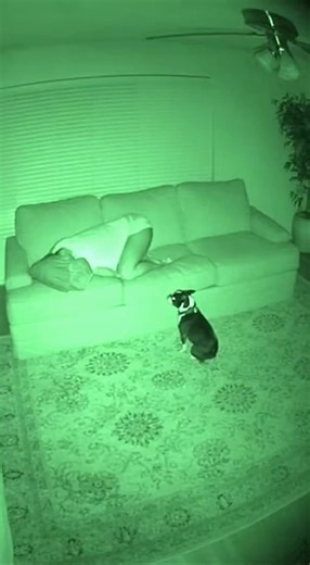 Night 603—It pinned me to the ceiling, then threw me off. Watching the fan stop, dust fall, and then the floor slam down. AI production. #ghost #video #nightvision #paranormal #AI