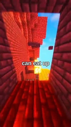 Amazing Minecraft Facts! #shorts