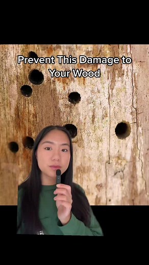 Prevent Carpenter Bees: Tips for a Bee-Free Home