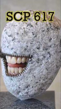 SCP 617 en Resumen - 'Mascotas Roca"