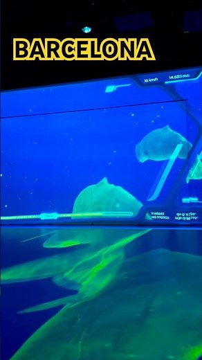 Barcelona Aquarium ✨📌🇪🇸 Spain is Awesome #barcelona #aquarium #spain