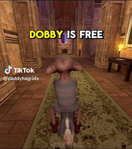 Best Dobby Moments from Harry Potter