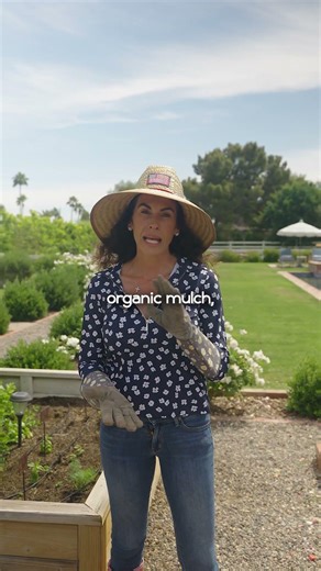 Organic Gardening in Phoenix with Heather MacLean
