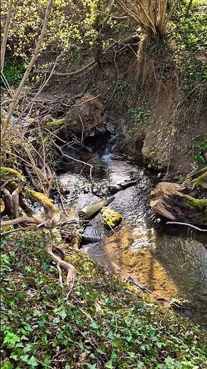 4s Swiss Waterfall Flow | Calm Nature 4K
