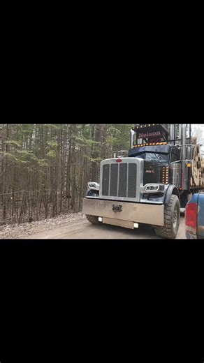 150K views · 2.2K reactions | Hauling Logs 蝹 #forestry #loggermack #loghaul #peterbilt pete | Logger Mack | Facebook