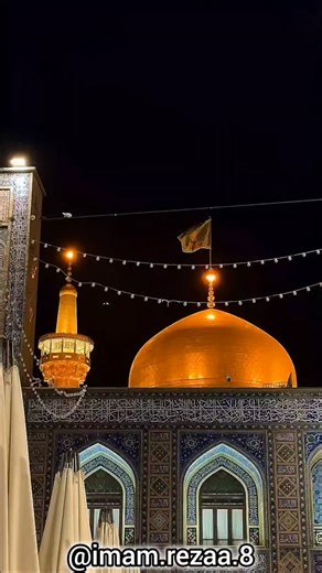 ‎امام رضا‎ on Instagram‎: "دلتنگ زیارت امام رئوف هستم دلتنگ صحن گوهر شاد هستم آتش سقاخانه را دارم آقاجان یک کلمه، فقط بطلب 🌹❤️‍🩹🥹🤲🙏 ذخیره کن و بنویس ((یا امام رضا))به عشق امام رضا بفرست برای دوستانت♥️🌹 . . . . . @imam.rezaa.8 . . #امام_رضا #مشهد #حرم#دلتنگی #مشهد_مقدس مشهدالرضا امام اینستا گوهرشاد مشهدالرضا دل دلنوشته زیارت حرم_امام_رضا ایران عشق❤️ زندگی امامزمان اللهم_عجل_لوليك_الفرج السلام_علیک_یا_علی_بن_موسی_الرضاامامرضا_علیه_السلاماکسپلورخدااکسپلور_اینستاگراممشهدی مشهدالرضا مشهدیا"‎