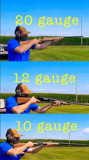 Shotgun recoil: 20 gauge vs 12 gauge vs 10 gauge
