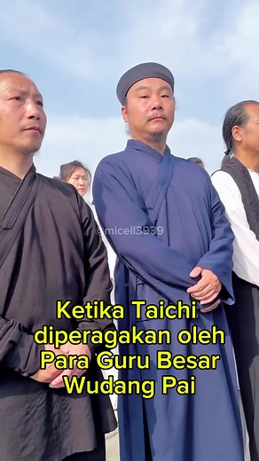 The Health Benefits of Taichi from Master Mao