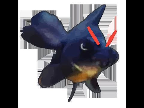 How to add servers in your gtag copy.