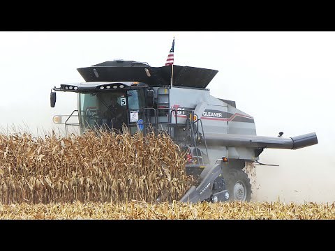 IOWA CORN HARVEST with Lots of Different Combines in the Field Harvesting Corn
