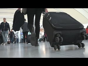 Airline luggage fees and mislabelled seafood: CBC's Marketplace consumer cheat sheet
