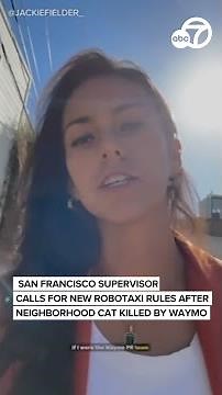 San Francisco supervisor calls for new robotaxi rules after neighborhood cat killed by Waymo