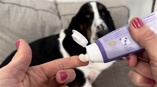 Watch Brushing With This Toothpaste on Amazon Live