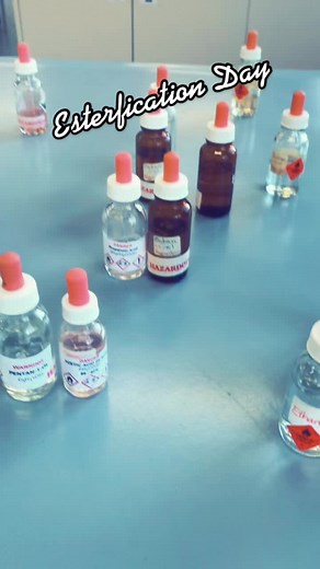 Esterfication Day: Explore Organic Chemistry Experiments