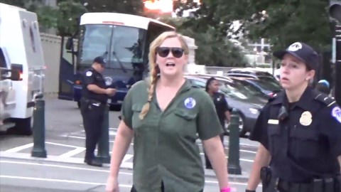 Amy Schumer Arrested with Kavanaugh Protesters in D.C., Takes Immediate Pee Break