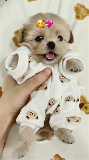 My baby is lovely 🥰 ❤️💕#violintune #meditationmusic #sleepmusic30minutes