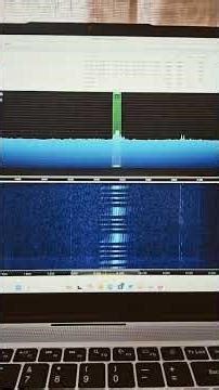 Unknown digital signal on 8066kHz at 1258 UTC.