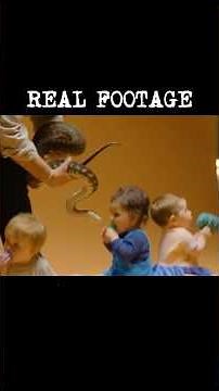 The “SNAKE VS BABY” Experiment - Where FEAR comes from! #education
