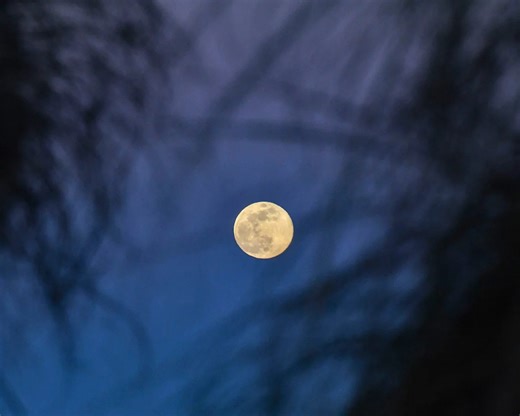 When every full moon shines in 2026. Dates, times for AL and the history behind each name