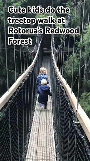 Little kids walk the bridge at the treetop walk at the Redwood forest in Rotorua, New Zealand