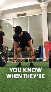 31 reactions | New 2024 Sebastian Stan Program now available on my app! This 9-week gym or dumbbell-only program is designed to build muscle. This is the type of programming Seb uses to prepare for his Marvel Universe roles. | Don Saladino | Facebook