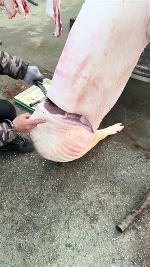How to Butcher a Whole Pig | Step-by-Step Guide