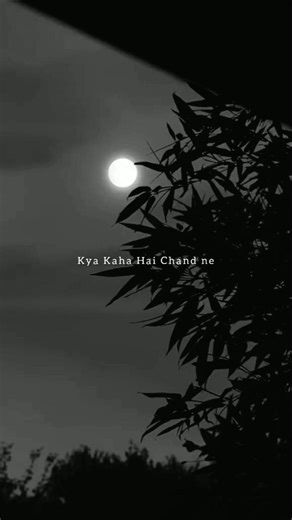 Tera Mera Pyar Amar Lyrics // Kya Kaha Hai Chand Ne Lyrics // #trending #oldsong #lyrics