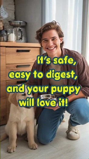Hot or Cold Food for Puppies? 🐶⚠️ (Most Owners Get This WRONG!)