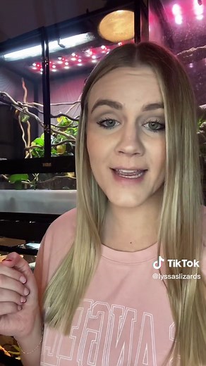 Are Leopard Geckos Good Pets for Kids? Tips from a Reptile Keeper