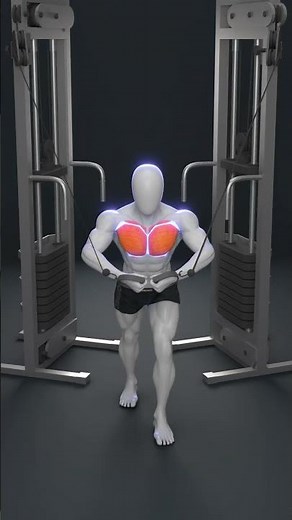 Cable Fly Workout for Beginners